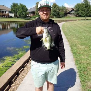 Meet your Posher, Anthony